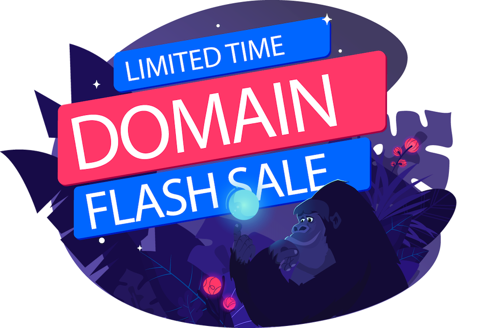 Domain Flash Sale
